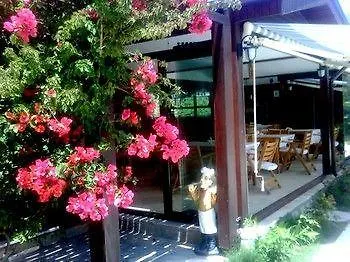 Boutique 酒店 达利安
